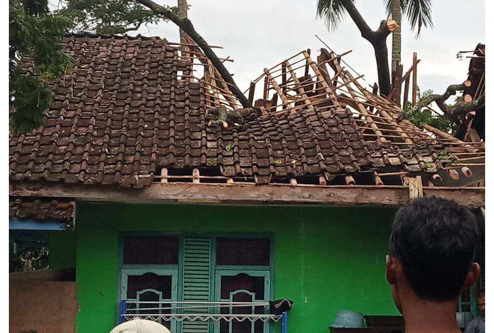 Dua Rumah Warga Desa Tanjungsari Tertimpa Pohon